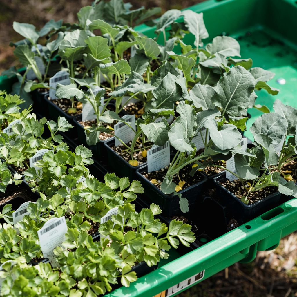 Návrh bez názvu - 2026-03-11T191611.885